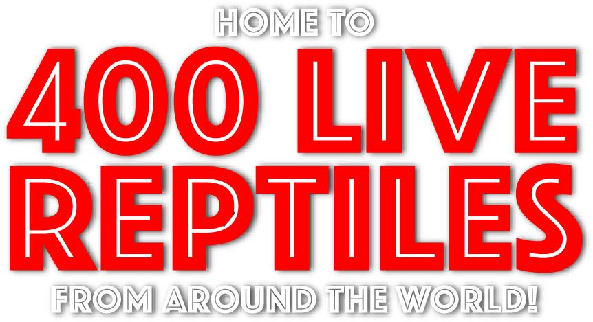 Home To 400 Live Reptiles Heading