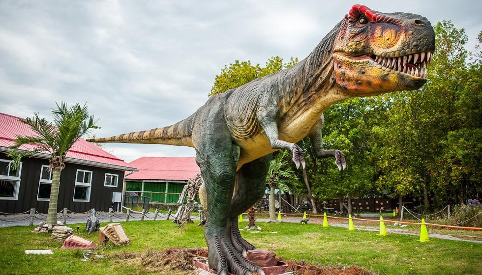 indian river reptile and dinosaur park